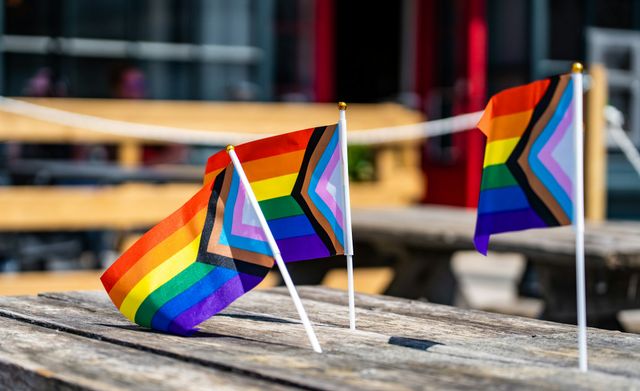Wichtiger Baustein der Demokratiebildung: Queeres Bildungsprojekt in Brandenburg vor dem Aus – Bündnisgrüne fordern faire Förderung