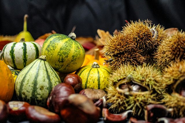 Herbstfest des Kreisverbandes Barnim