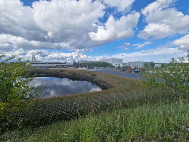 Red Bull in Baruth: Bund mahnt Land Brandenburg zu sorgfältiger Prüfung
