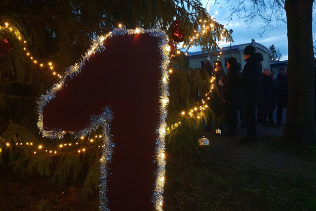 Friedersdorf (LDS) startet Preisträger-Projekt „Lebendiger Adventskalender“ mit „Weihnachtsbaumanleuchten“