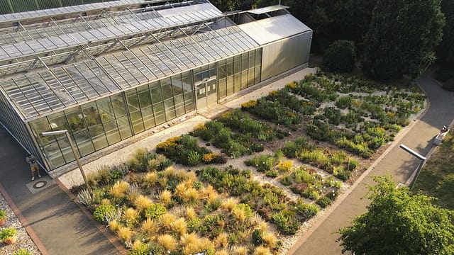 Besuch der Lehr- und Versuchsanstalt für Gartenbau und Arboristik e. V. (LVGA)