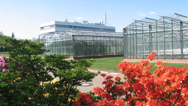 Besuch des Leibniz-Instituts für Gartenbauwissenschaft e. V.