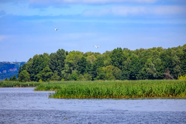 Oderinsel im Dornröschenschlaf